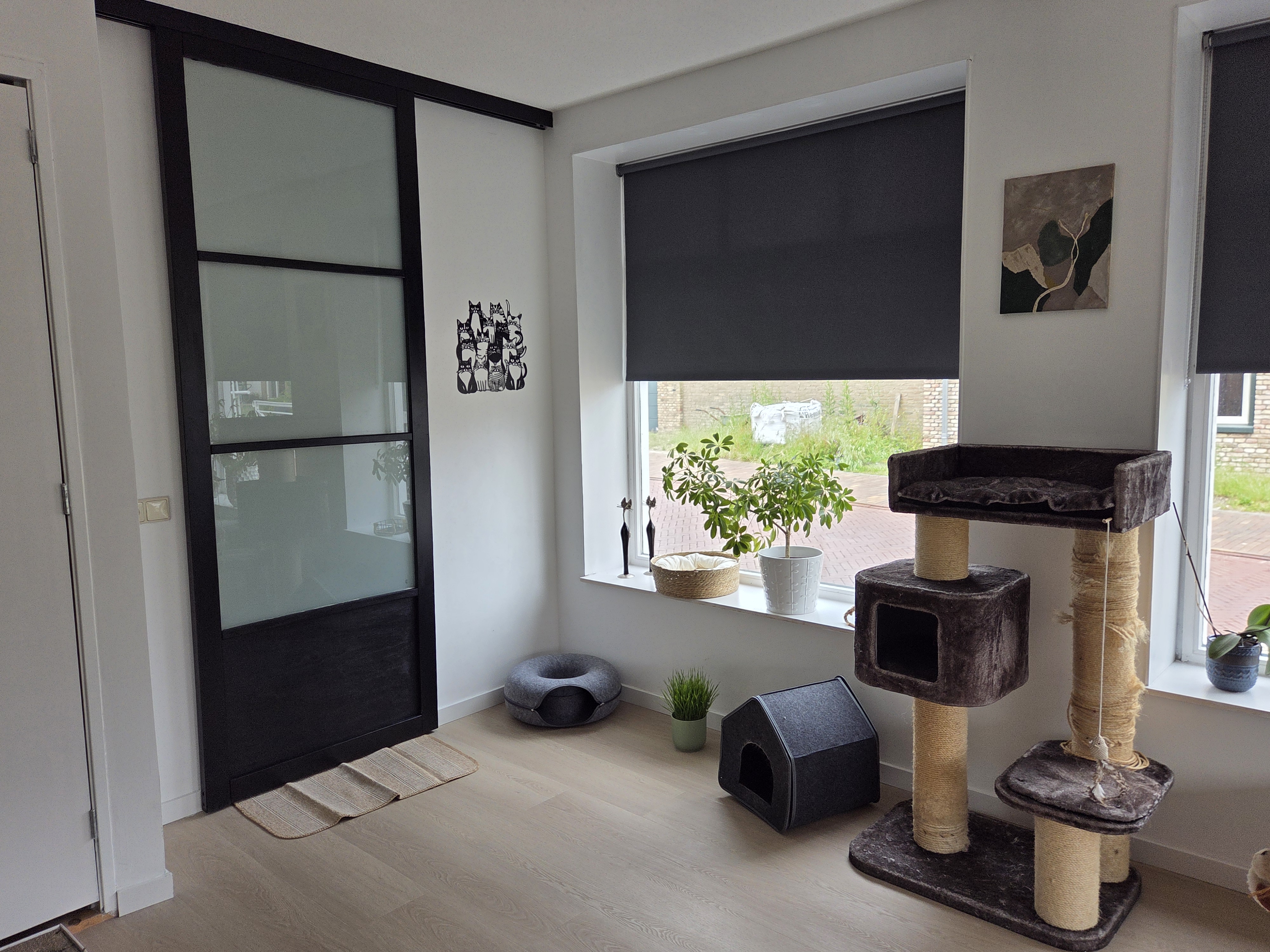 Kattenresort Katastrofe verblijf afbeelding 3