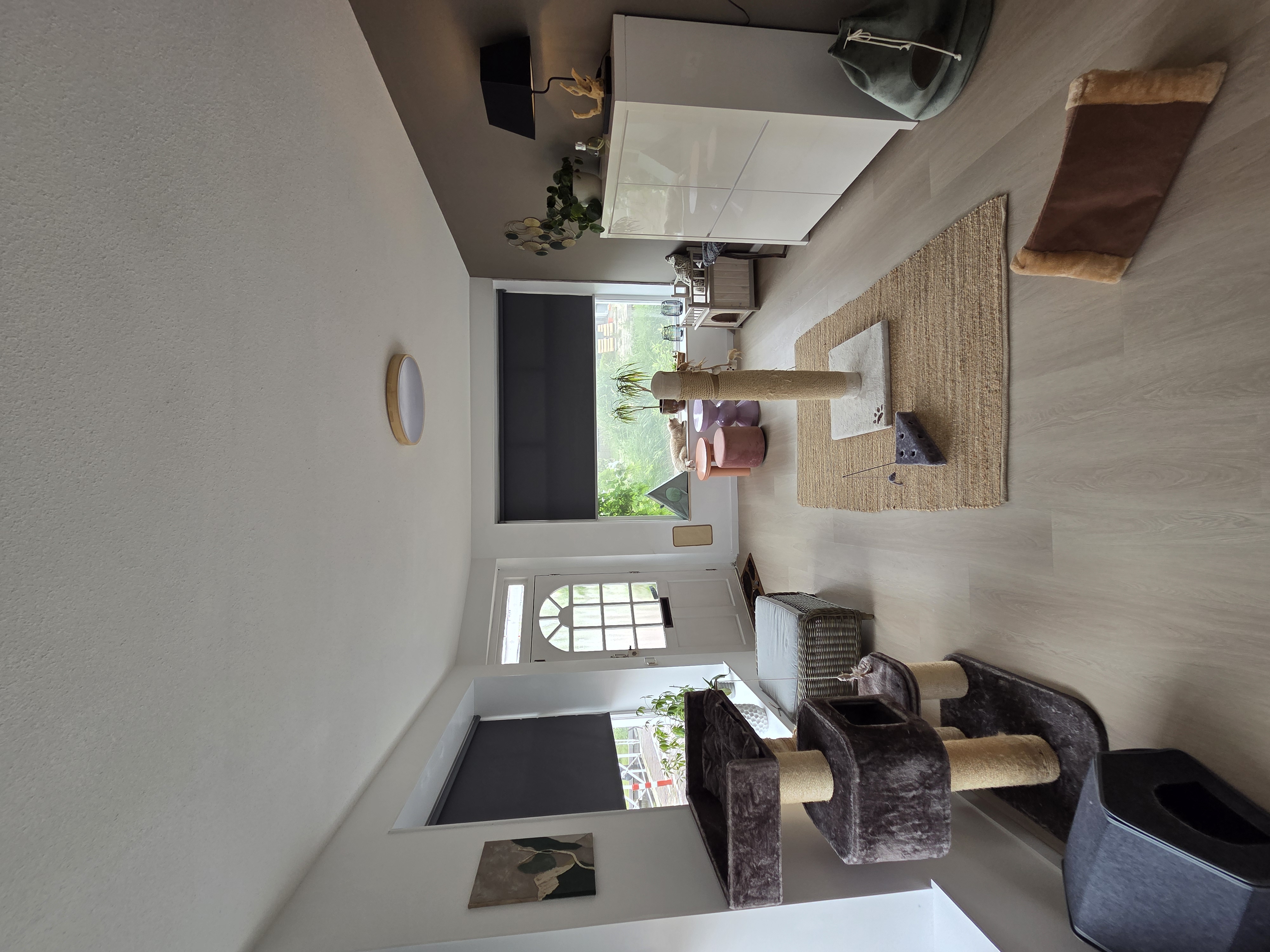 Kattenresort Katastrofe verblijf afbeelding 5