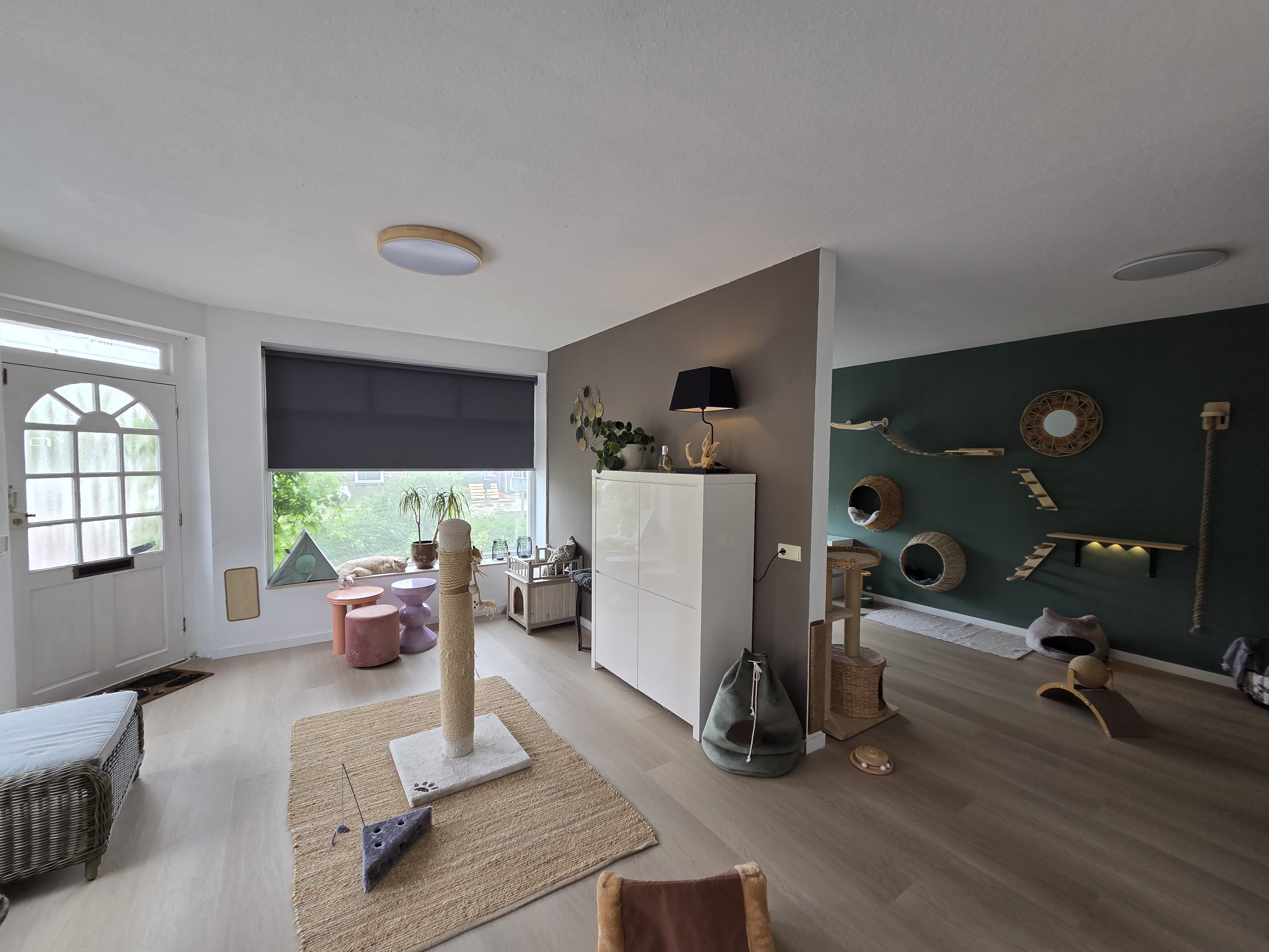 Kattenresort Katastrofe verblijf afbeelding 6