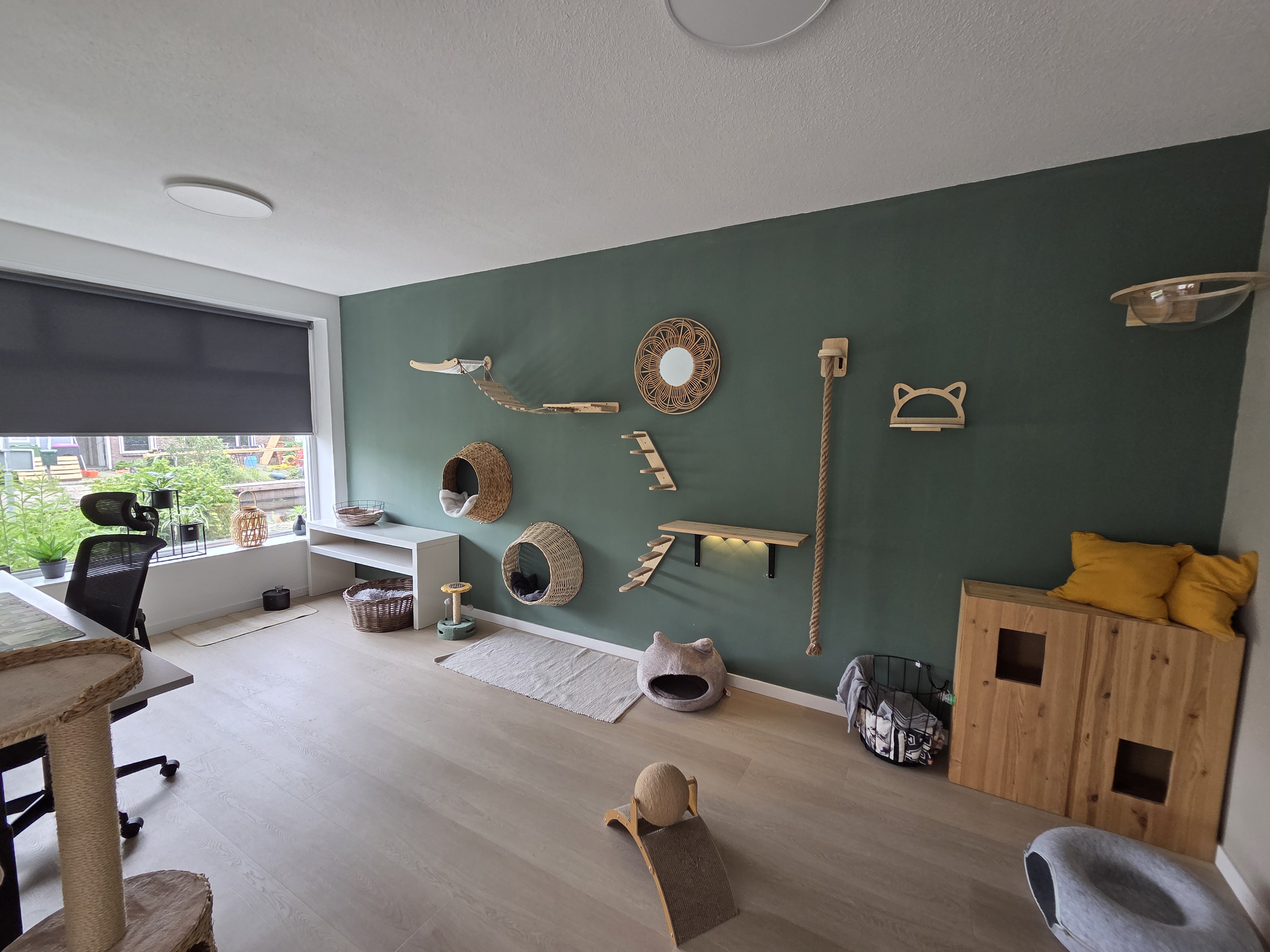 Kattenresort Katastrofe verblijf afbeelding 7