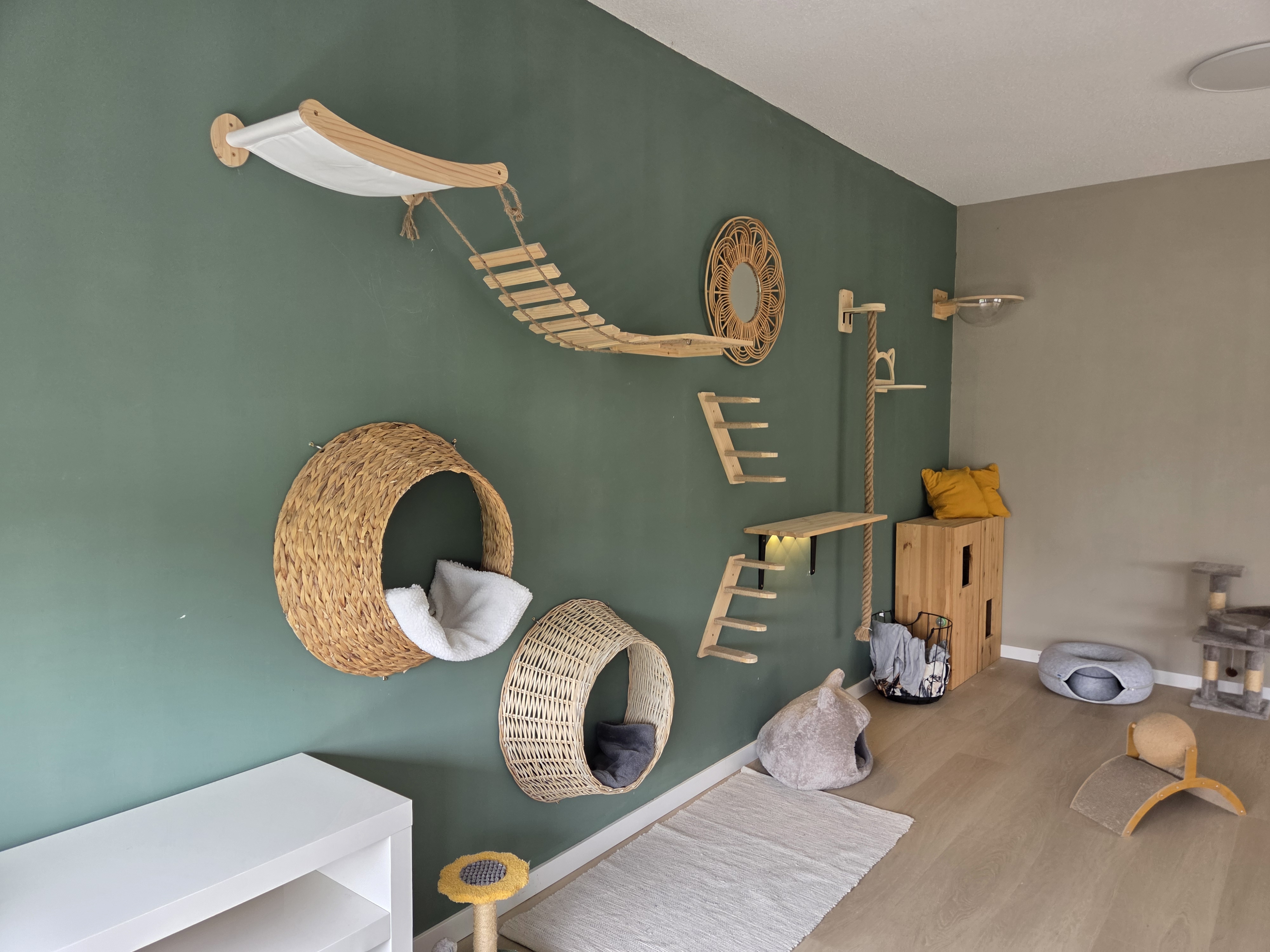 Kattenresort Katastrofe verblijf afbeelding 8