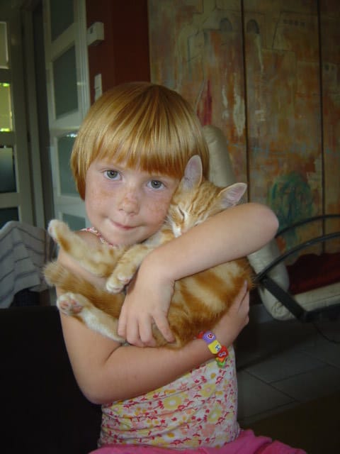 Toshiya Cramer in het kattenpension
